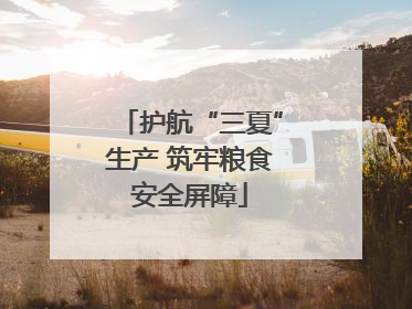 护航“三夏”生产 筑牢粮食安全屏障
