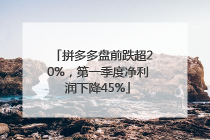 拼多多盘前跌超20%，第一季度净利润下降45%