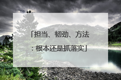 担当、韧劲、方法：根本还是抓落实
