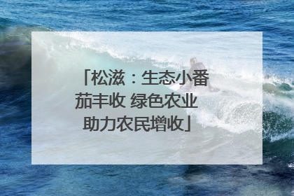 松滋：生态小番茄丰收 绿色农业助力农民增收