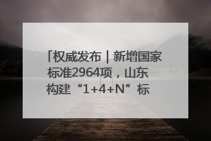 权威发布｜新增国家标准2964项，山东构建“1+4+N”标准化创新发展新格局