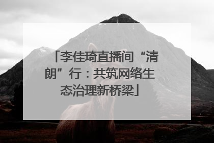 李佳琦直播间“清朗”行：共筑网络生态治理新桥梁