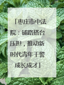 枣庄市中法院：铺路搭台压担，推动新时代青年干警成长成才