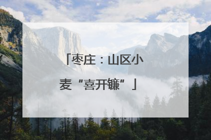 枣庄：山区小麦“喜开镰”