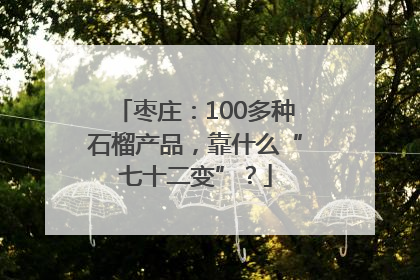 枣庄：100多种石榴产品，靠什么“七十二变”？