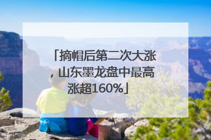摘帽后第二次大涨，山东墨龙盘中最高涨超160%