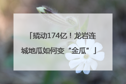 撬动174亿！龙岩连城地瓜如何变“金瓜”