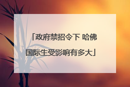 政府禁招令下 哈佛国际生受影响有多大