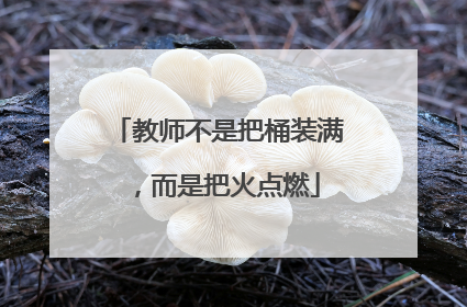 教师不是把桶装满，而是把火点燃