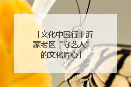 文化中国行丨沂蒙老区“守艺人”的文化匠心