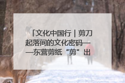 文化中国行｜剪刀起落间的文化密码——东营剪纸“剪”出非遗传承与现代生活的融合之道