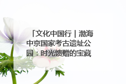 文化中国行｜渤海中京国家考古遗址公园：时光馈赠的宝藏 历史凝固的诗篇