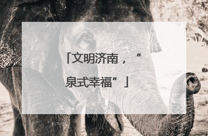 文明济南，“泉式幸福”
