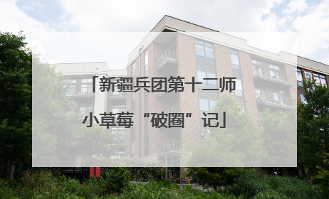 新疆兵团第十二师小草莓“破圈”记