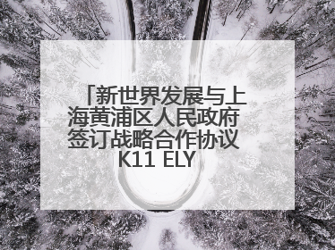 新世界发展与上海黄浦区人民政府签订战略合作协议 K11 ELYSEA璀璨启幕