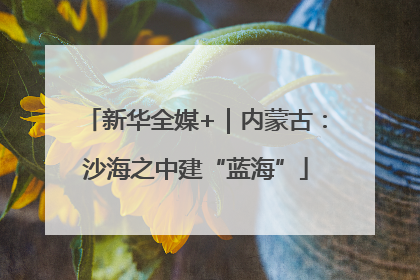 新华全媒+｜内蒙古：沙海之中建“蓝海”