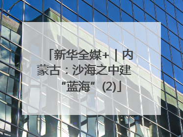 新华全媒+｜内蒙古：沙海之中建“蓝海”(2)