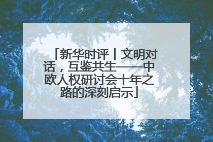 新华时评丨文明对话，互鉴共生——中欧人权研讨会十年之路的深刻启示