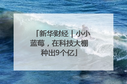 新华财经｜小小蓝莓，在科技大棚种出9个亿