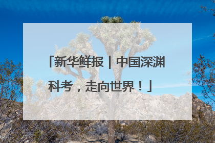 新华鲜报｜中国深渊科考，走向世界！