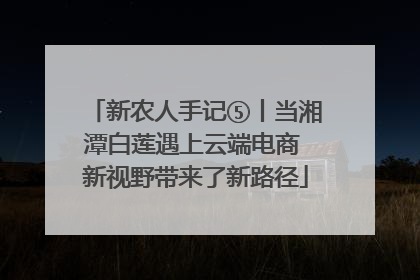 新农人手记⑤丨当湘潭白莲遇上云端电商 新视野带来了新路径