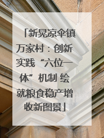 新晃凉伞镇万家村：创新实践“六位一体”机制 绘就粮食稳产增收新图景
