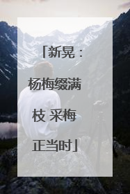 新晃：杨梅缀满枝 采梅正当时