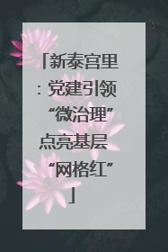 新泰宫里：党建引领“微治理” 点亮基层“网格红”