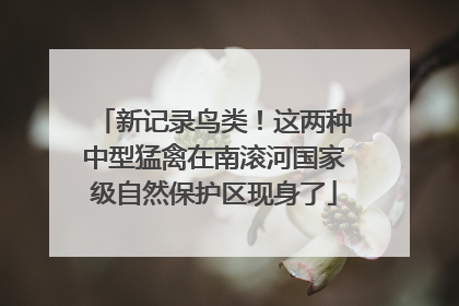 新记录鸟类！这两种中型猛禽在南滚河国家级自然保护区现身了