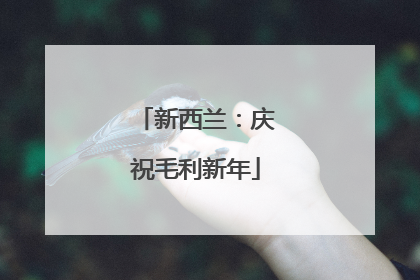 新西兰：庆祝毛利新年