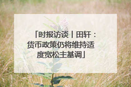 时报访谈丨田轩：货币政策仍将维持适度宽松主基调