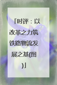 时评：以改革之力筑铁路物流发展之基(图)