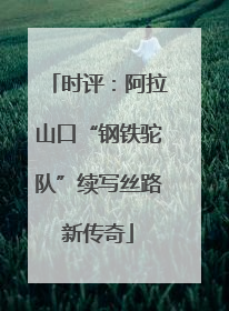 时评：阿拉山口“钢铁驼队”续写丝路新传奇