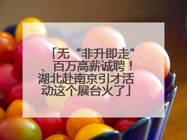 无“非升即走”、百万高薪诚聘！湖北赴南京引才活动这个展台火了