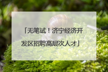 无笔试！济宁经济开发区招聘高层次人才