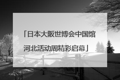 日本大阪世博会中国馆河北活动周精彩启幕