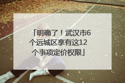 明确了！武汉市6个远城区享有这12个事项定价权限