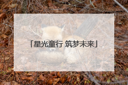 星光童行 筑梦未来