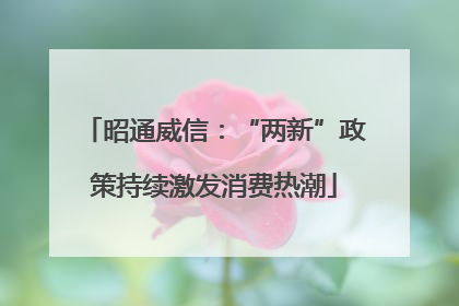 昭通威信：“两新”政策持续激发消费热潮