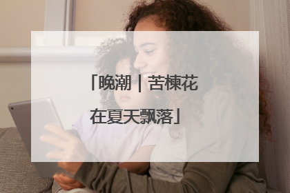 晚潮｜苦楝花在夏天飘落