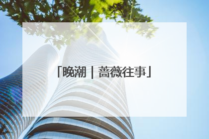 晚潮｜蔷薇往事