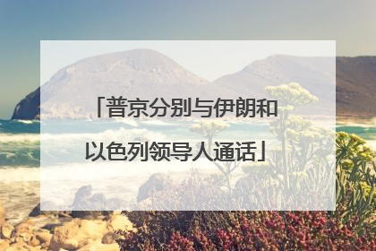 普京分别与伊朗和以色列领导人通话