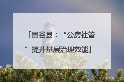 景谷县：“公房社管”提升基层治理效能