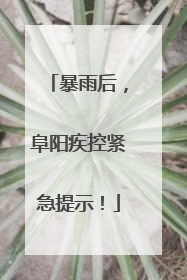 暴雨后，阜阳疾控紧急提示！