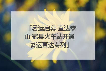 暑运启幕 直达泰山 冠县火车站开通暑运直达专列