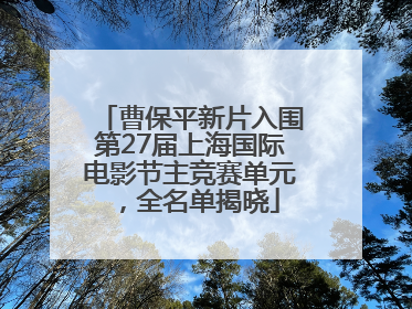 曹保平新片入围第27届上海国际电影节主竞赛单元，全名单揭晓