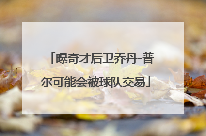 曝奇才后卫乔丹-普尔可能会被球队交易