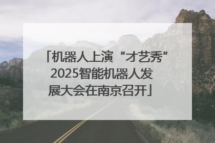 机器人上演“才艺秀” 2025智能机器人发展大会在南京召开