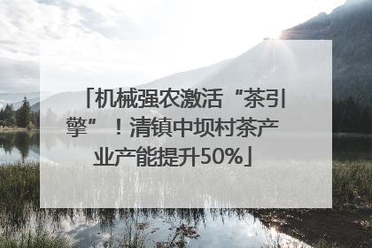 机械强农激活“茶引擎”！清镇中坝村茶产业产能提升50%