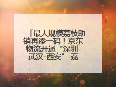最大规模荔枝助销再添一码！京东物流开通“深圳-武汉-西安” 荔枝全货机航线